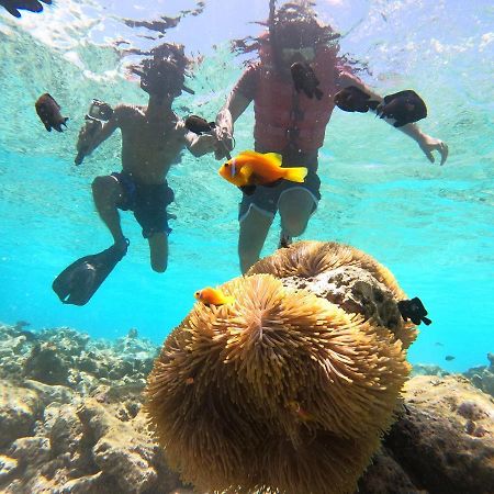 Отель Ocean Vista Maldives,Маафуши Экстерьер фото